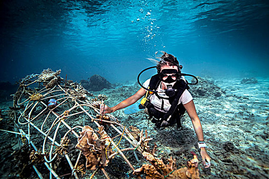 水下视角,潜水员,修理,海底,人造,钢铁,礁石,电,电流,龙目岛,印度尼西亚