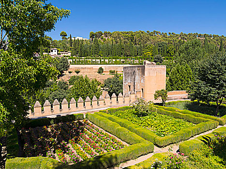 花园,阿尔罕布拉,世界遗产,格拉纳达省,西班牙,欧洲