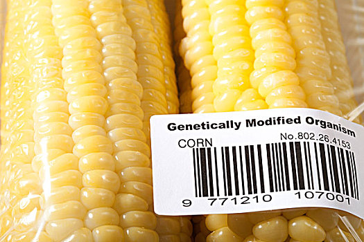 玉米,包装,基因,标签