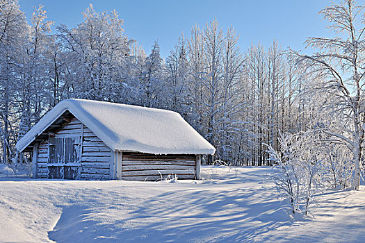 冬景,库萨莫,北方,芬兰