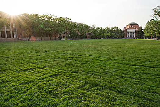 清华大学