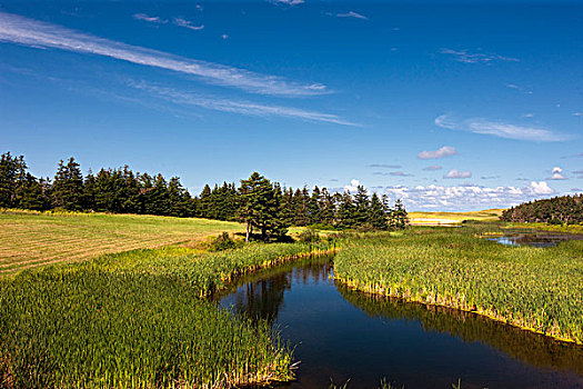 牧师,水塘,爱德华王子岛,加拿大
