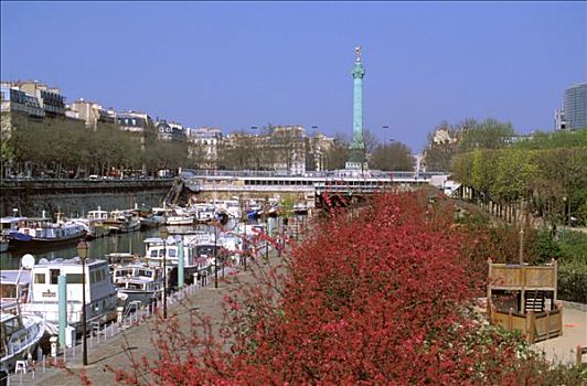 法国,巴黎,码头,船,观赏苹果,树