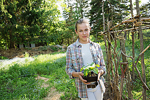 女孩,格子衬衫,拿着,农作物,鲜明,绿叶,花盆,围栏,围挡
