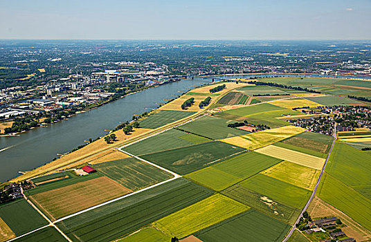 莱茵河,相对,桥,杜伊斯堡,北莱茵威斯特伐利亚,德国,欧洲