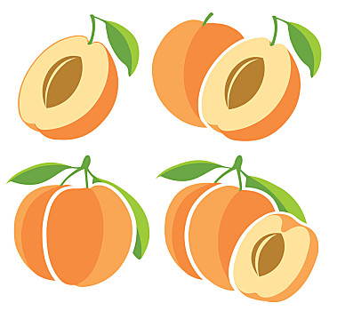 一堆杏子简笔画图片