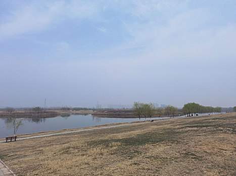 湖泊,渭河湿地,自然风光,湿地公园河流,西安渭河生态区,渭河河堤公园河流与,河畔风光,城市建筑,灞渭湿地,渭河,城市景观,杨凌渭河湿地公园