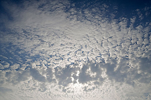 大,绒毛状,云,高积云,梅克伦堡前波莫瑞州,德国,欧洲