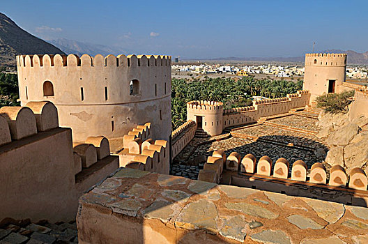 历史,砖坯,要塞,堡垒,城堡,哈迦,加尔比,山峦,巴提纳地区,区域,阿曼苏丹国,阿拉伯,中东