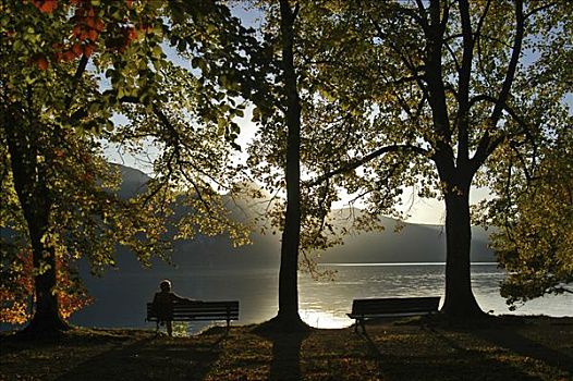 公园长椅,科赫尔湖,上巴伐利亚,巴伐利亚,德国