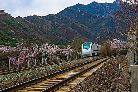 花海列车