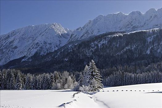 山脉,遮盖,很多,雪,施蒂里亚,奥地利