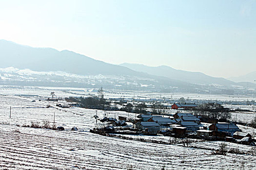 雪野,北方,東北,大雪,原野,土地,冬季,潔白,干凈,風景,村莊,農村