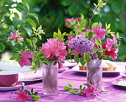 杜鹃属植物,杜鹃花,丁香,桌上,咖啡