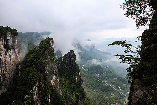 恩施,黄鹤峰,风景,景点,旅游,高山,山区,神秘,树木,植被,石头,鄂西,奇石,峡谷,壮观,云海,仙境