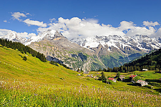 风景,上方,山,草地,小屋,伯尔尼,阿尔卑斯山,伯尔尼州,瑞士,欧洲