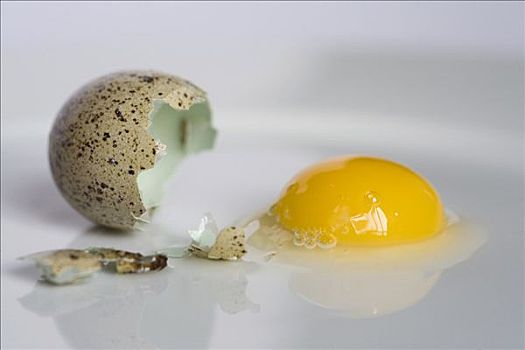 鹌鹑蛋,缝隙,破损,蛋壳,蛋黄,蛋清,反射,白色,盘子