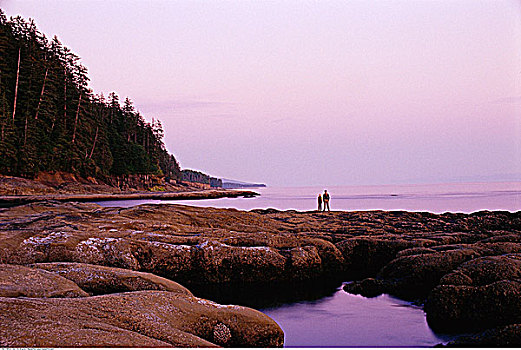 观鲸,露营者,溪流,西海岸小径,不列颠哥伦比亚省,加拿大