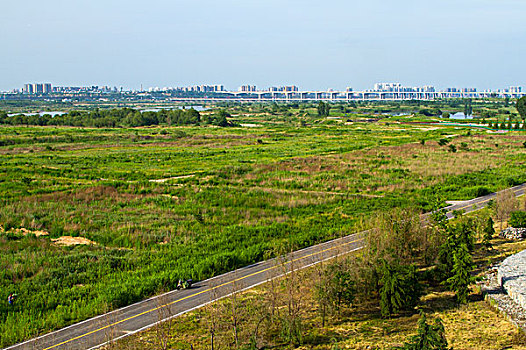 渭河湿地