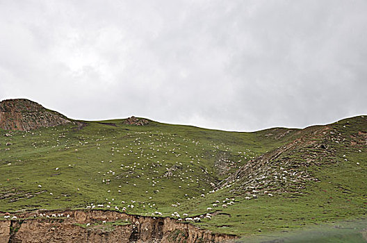 羊群与青山