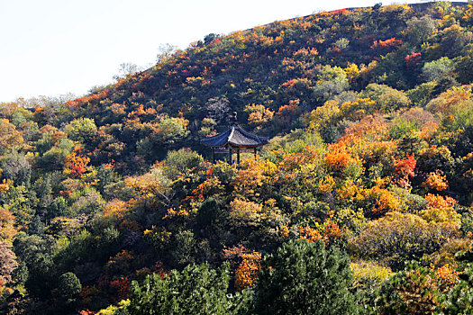 香山寺