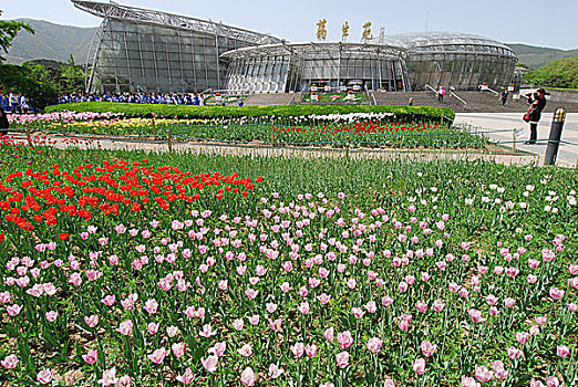 北京,植物园