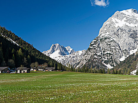 山脉,靠近,湖,阿亨湖地区,攀升,右边,山,农场,左边,背景,巴伐利亚