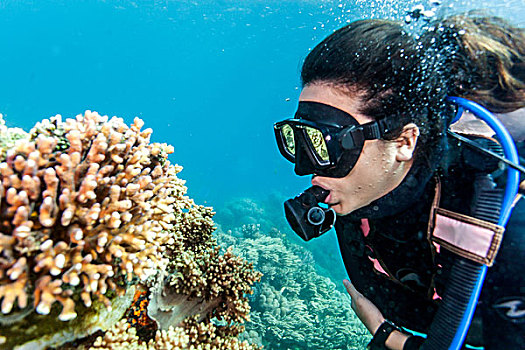 美女,看,软珊瑚,深潜,宿务,菲律宾