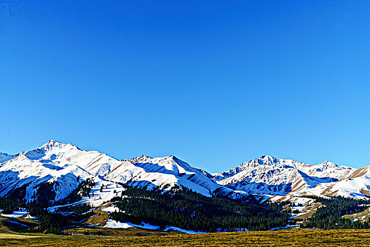 那拉提牧场的草原与雪山