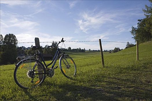 自行车,栅栏