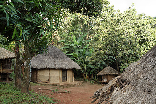 传统,房子,乡村,非洲