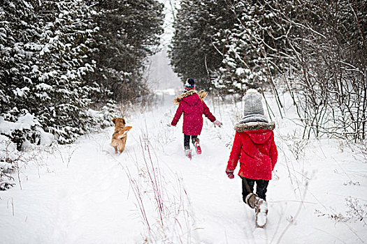 姐妹,探索,雪,树林,狗