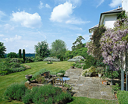 花园,路,内庭,桌子,椅子,紫藤,草坪