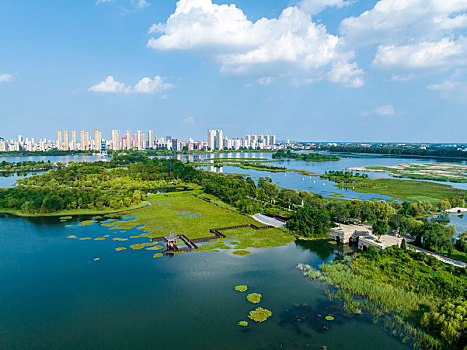 2022年8月1日,江苏省连云港市东海县西双湖风景区,郁郁葱葱,岸绿水清,天蓝景美,构成了一幅优美的夏日美景图,成为了市民休闲纳凉好去处