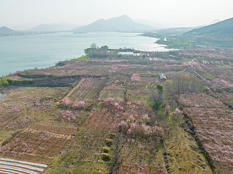 航拍济南卧虎山水库春暖花开