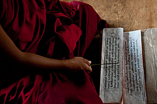 僧侣,读,祈祷书,普那卡,地区,不丹