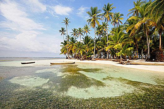 独木舟,孤单,手掌,海滩,岛屿,圣布拉斯湾,加勒比海,巴拿马,中美洲