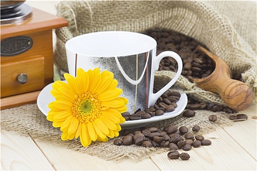 咖啡杯,黄色,大丁草,咖啡豆