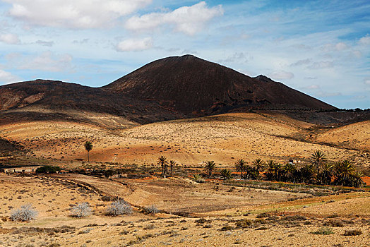 荒漠景观,瓦耶斯迪奥尔特加,富埃特文图拉岛,加纳利群岛,西班牙,欧洲