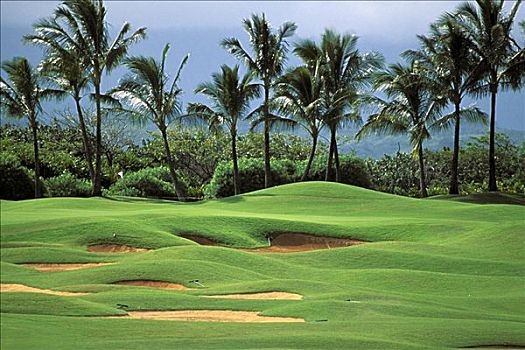 夏威夷,考艾岛,考艾礁湖,胜地,基乐球场,高尔夫球场,正面