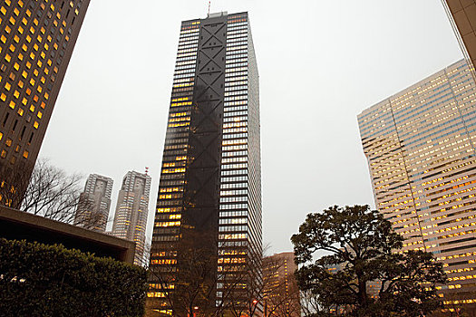 摩天大楼,新宿,东京,关东地区,本州,日本
