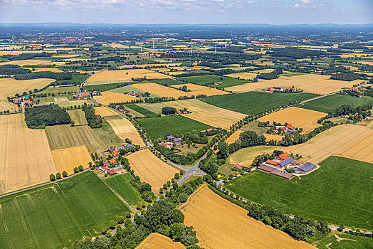 俯视,农场,地点,后面,风轮机,靠近,明斯特地区,北莱茵威斯特伐利亚,德国,欧洲