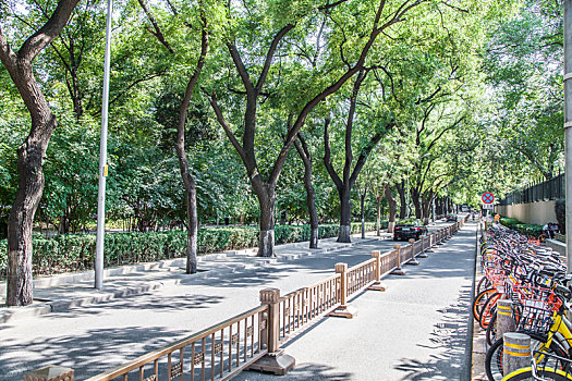 林荫大道,城市道路