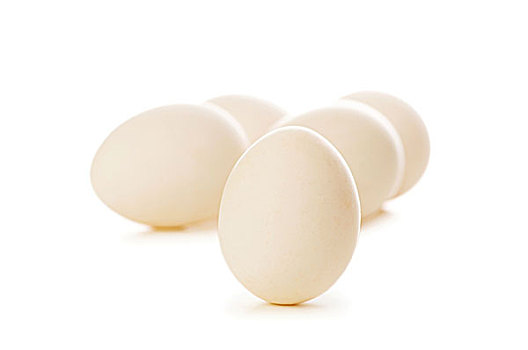 蛋,白色背景