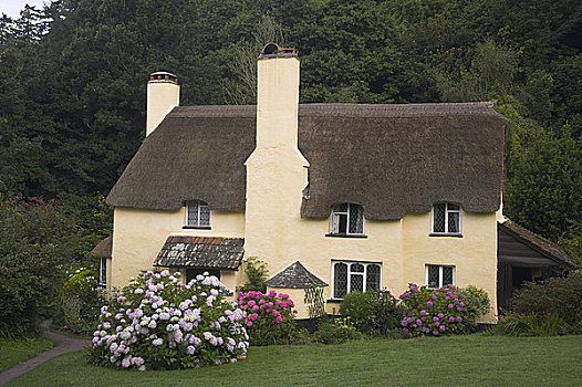 英格兰,萨默塞特,魅力,蒲屋,乡村,埃斯姆尔,国家公园