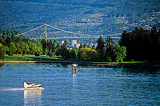 水上飞机,起飞,史坦利公园,狮门大桥,背景,温哥华,不列颠哥伦比亚省,加拿大