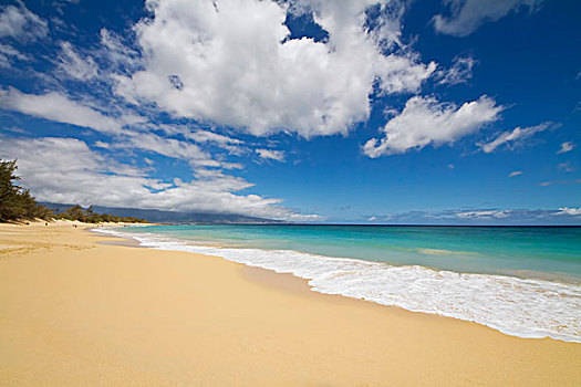 海滩,北岸,毛伊岛,夏威夷,美国