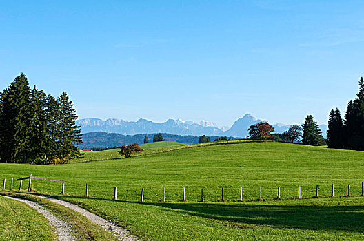 风景,阿尔卑斯山,靠近,巴伐利亚,德国,欧洲