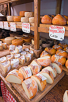 羊乳干酪,奶酪,熟食店,店,托斯卡纳,意大利,欧洲