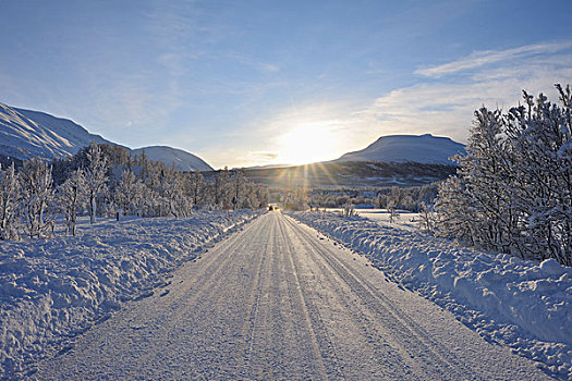 道路,冬天,挪威